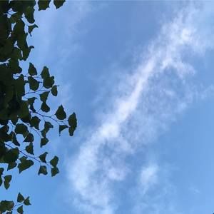 Meet your Posher, Albert